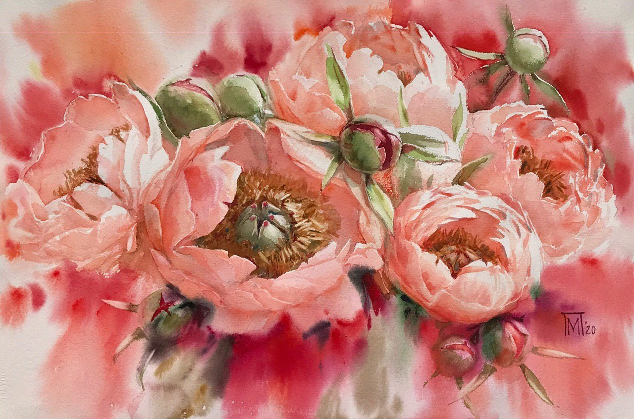 [Мария Павлова] Пионы акварелью сорт Coral Sharm (_0.jpg